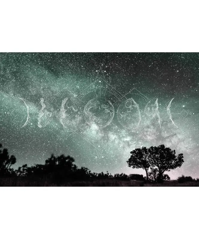 Offerta Del Giorno Into The Mood MD253770