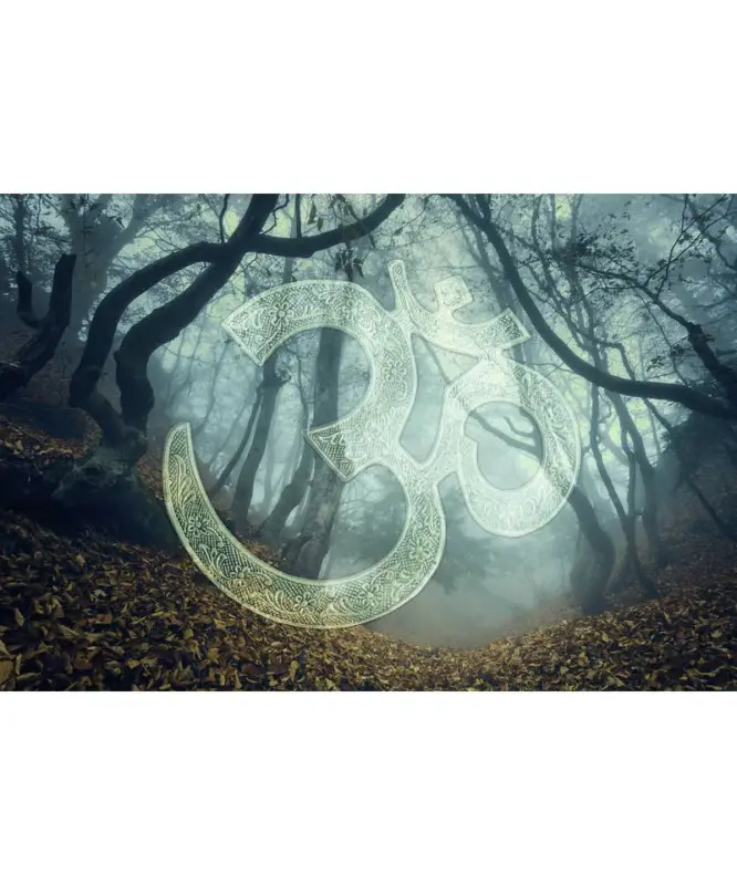 Ultima Occasione Into The Mood MD253775