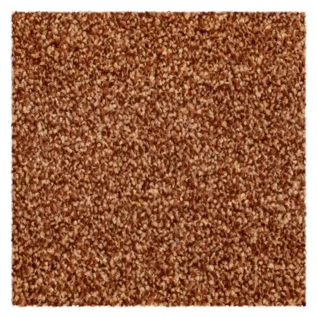 Spedizione Espresso Moquette tappeto EVOLVE 065 arancione