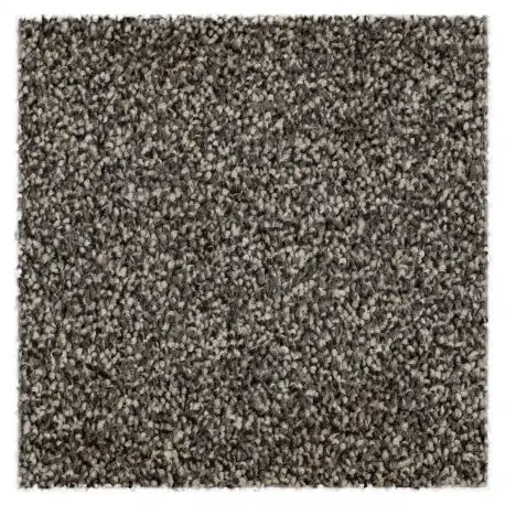 Moquette tappeto EVOLVE 049 marrone Popolare