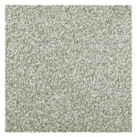 Moquette tappeto EVOLVE 033 beige Soddisfatti O Rimborsati