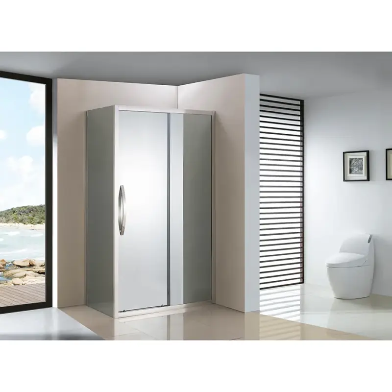 Porta scorrevole box doccia Professionale