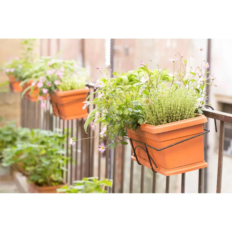 Promozione Esclusiva Fioriera Iris