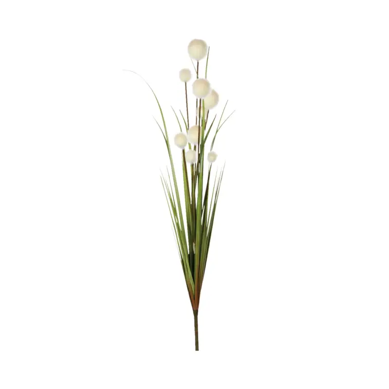Ultimissimo Modello Fiore Reed