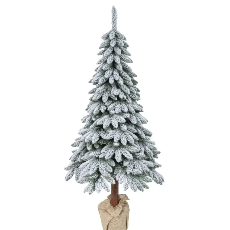 Albero Pino Tora innevato Popolare