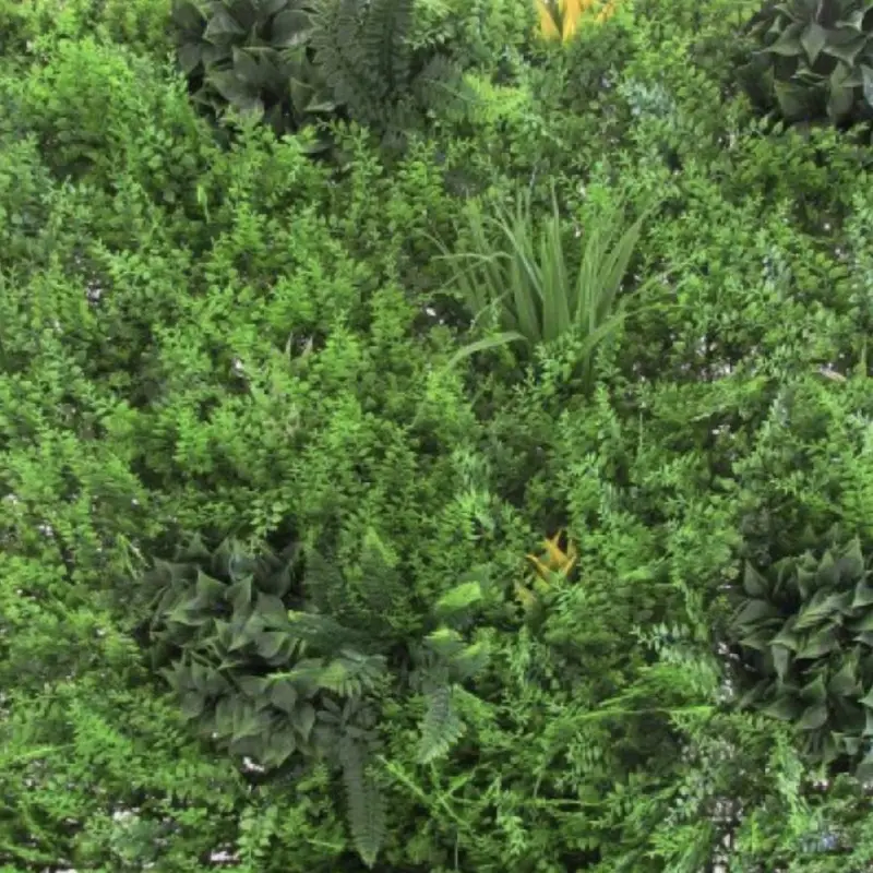 Nuova Collezione Siepe sempreverde verticale 1x1 mt