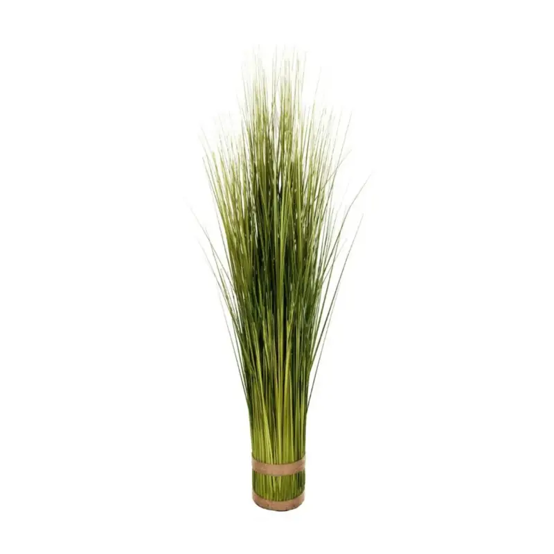Acquista Ora Mazzo di erba decorativa