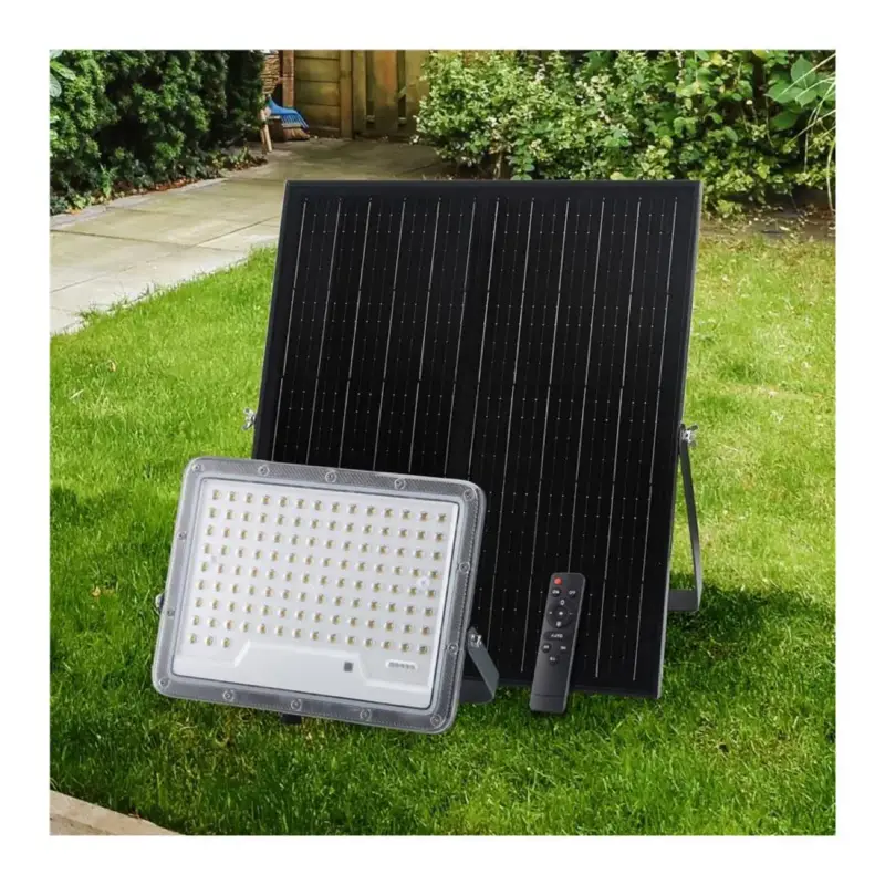 Proiettore Solare LED da Esterno Occasione
