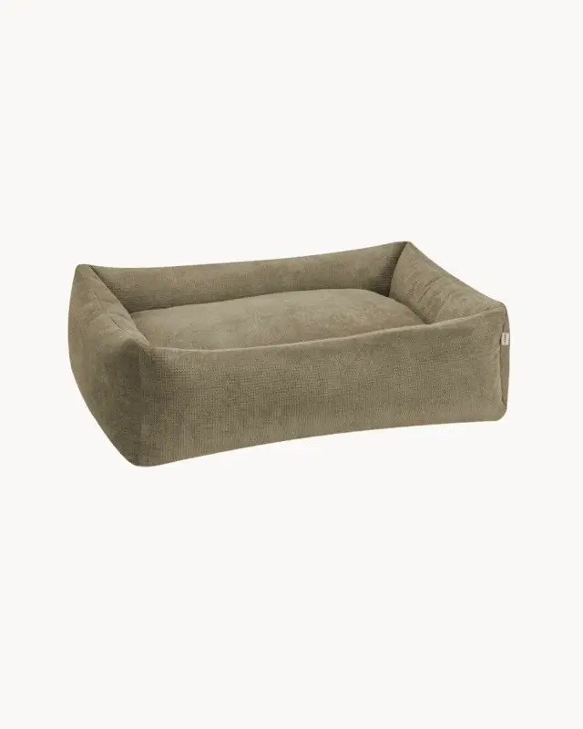 Non Perdere Cuccia per cani Tudor