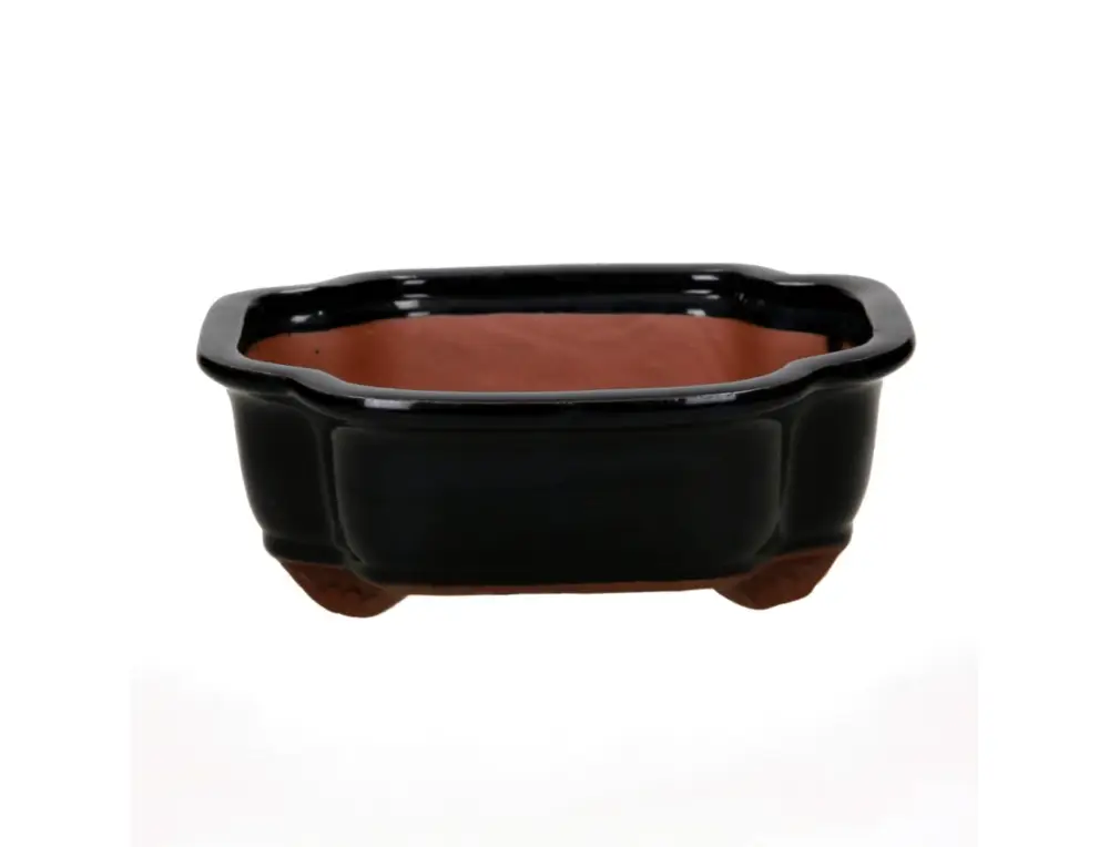 Vaso 21 cm Offerta Speciale